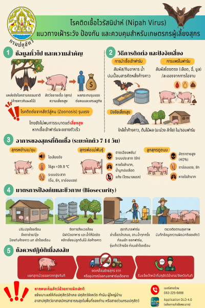 โรคติดเชื้อไวรัสนิปาห์ (Nipah Virus)