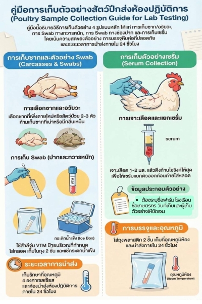 คู่มือการเก็บตัวอย่างสัตว์ปีกส่งห้องปฏิบัติการ (poultry Sample Collection Guide for Lab Testing)