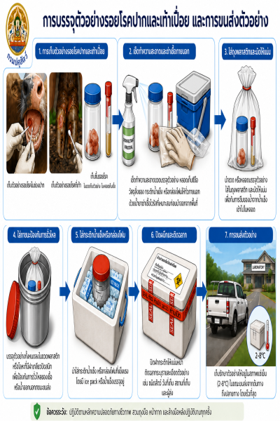 การบรรจุตัวอย่างรอยโรคปากและเท้าเปื่อย และการขนส่งตัวอย่าง
