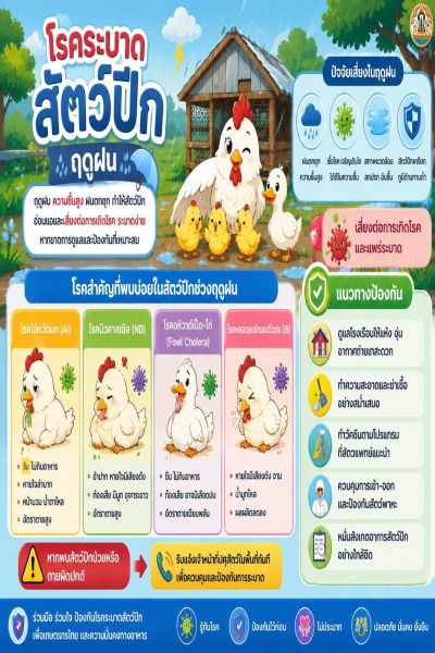 โรคระบาดสัตว์ปีก ฤดูฝน