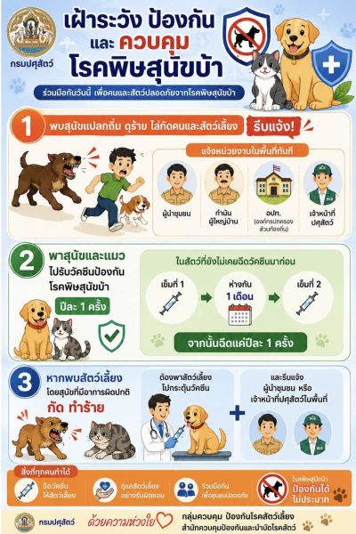 สื่อประชาสัมพันธ์โรคพิษสุนัขบ้า