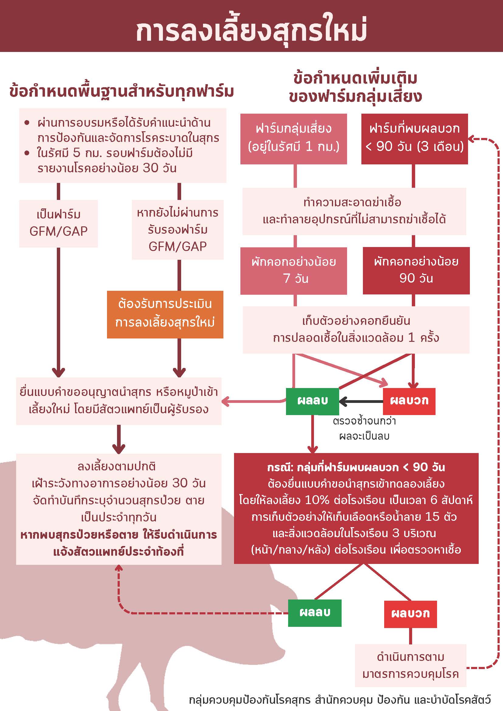 flow chart ลงเลยงสกรใหม