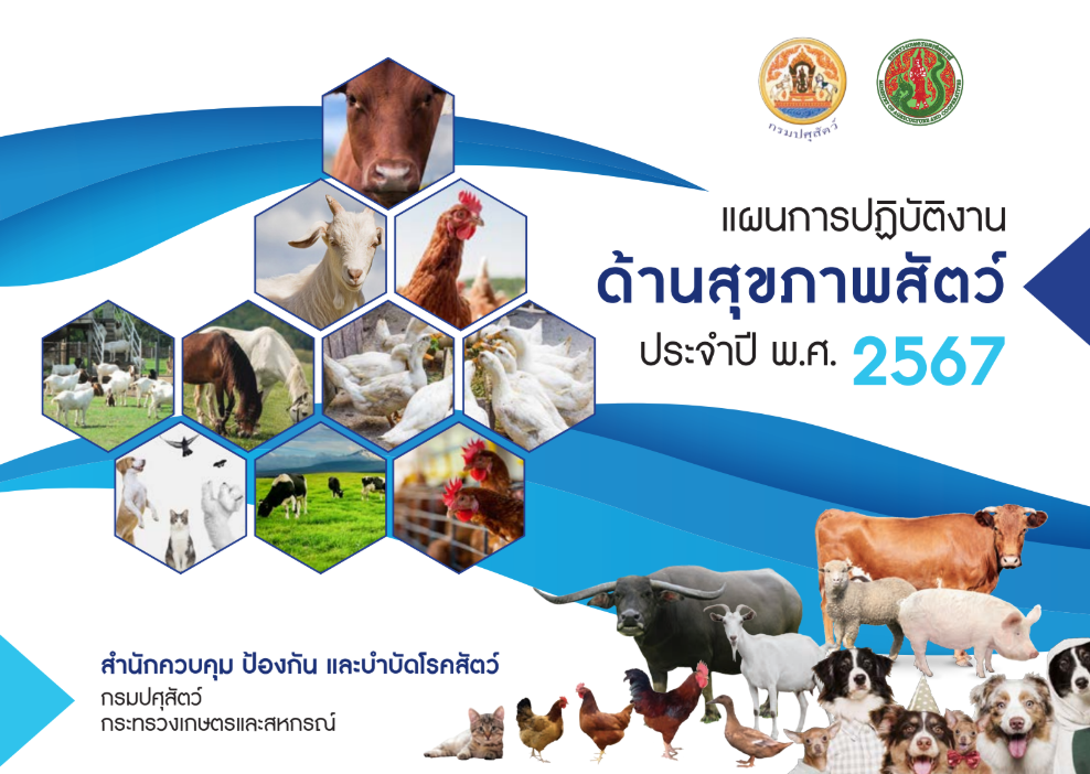 Screenshot 2026 01 06 220051