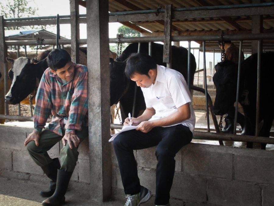 Trainees interviewing a farmer during a field investigation